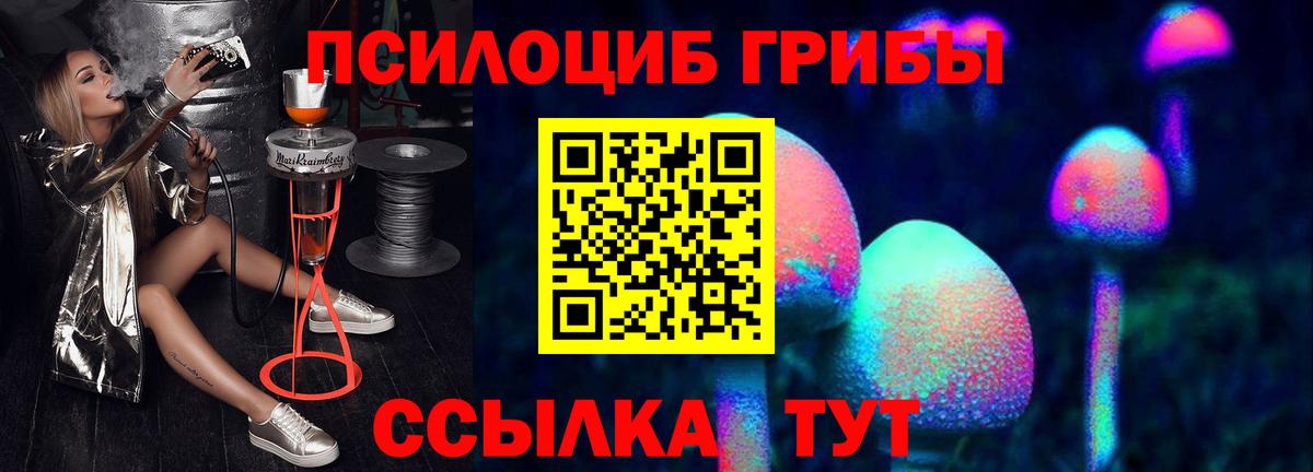 Галлюциногенные грибы Psilocybe Дедовск